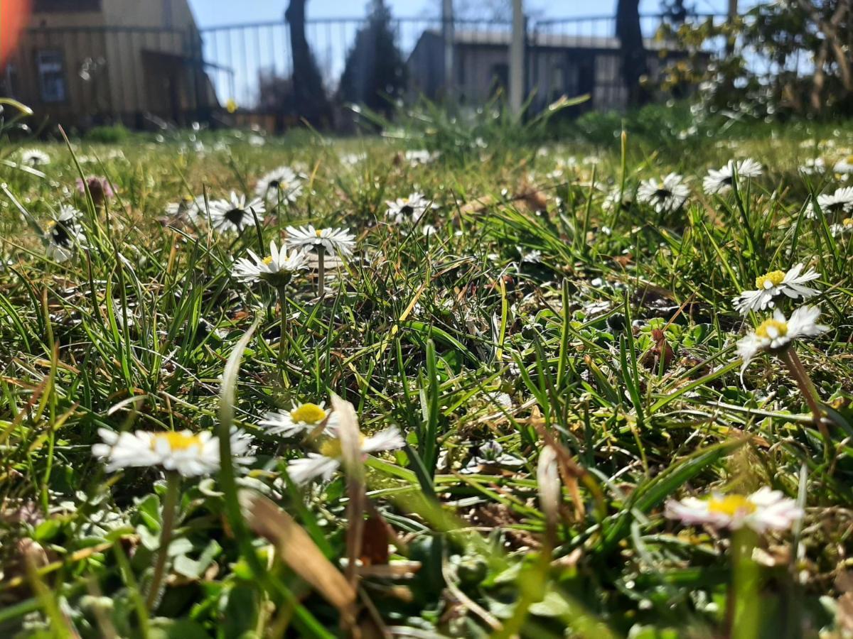 Gartenblick Trebbin Exteriör bild