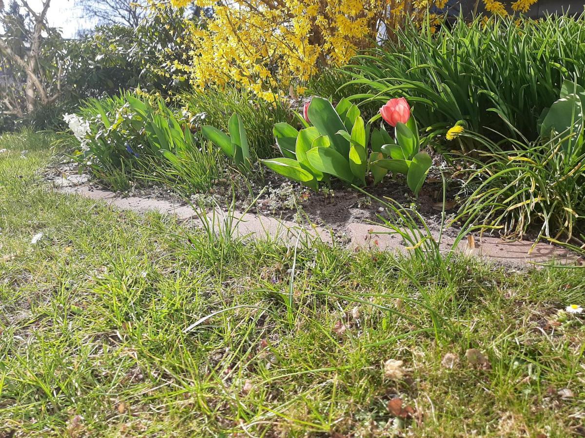 Gartenblick Trebbin Exteriör bild